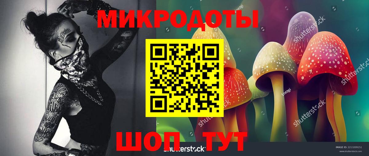 Галлюциногенные грибы Cubensis Балабаново